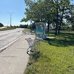 Debris on Street, Sidewalk, Boulevard at 2971 33 Av SW