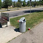 Bus Stop - Garbage Bin Concern at 258 New Brighton Me SE