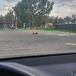 E-Scooter  - Abandoned / Parking Concerns at 1300 Zoo Rd Ne, Calgary, Ab T2 E 7 V6, Canada