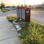 Debris on Street, Sidewalk, Boulevard at 150 Taravista Dr NE