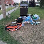 Debris on Street, Sidewalk, Boulevard at 670 8 St SE