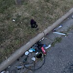 Debris on Street, Sidewalk, Boulevard at 59 Malvern Cr NE