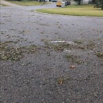 Debris on Street, Sidewalk, Boulevard at 252 Santana Ba NW