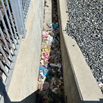 Debris on Street, Sidewalk, Boulevard at 3769 Westwinds Dr NE