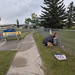 Debris on Street, Sidewalk, Boulevard at 6006 Rundlehorn Dr NE Northeast Calgary