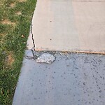 Sidewalk or Curb - Repair at 4250 Seton Dr SE