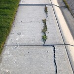 Sidewalk or Curb - Repair at 2714 Evercreek Bluffs Wy SW