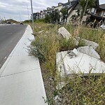 Debris on Street, Sidewalk, Boulevard at 14200 Mcivor Bv SE