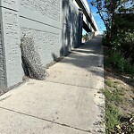 Fence or Structure Concern - City Property at 1424 75 Av SW