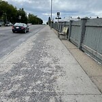 Debris on Street, Sidewalk, Boulevard at 120 Malibou Rd SW