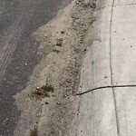 Debris on Street, Sidewalk, Boulevard at 2039 36 St SW