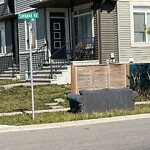 Debris on Street, Sidewalk, Boulevard at 9088 52 St NE