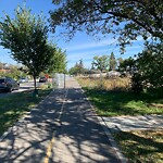 Fence or Structure Concern - City Property at 3412 37 St SW