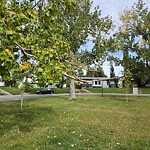 Tree Maintenance - City Owned at 2148 Mackid Cr NE