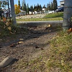 Sidewalk or Curb - Repair at 7802 Ranchview Dr NW