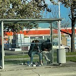 Bus Stop - Shelter Concern at 6336 Macleod Tr SW