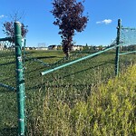 Fence or Structure Concern - City Property at 2555 Fish Creek Bv SW