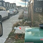 Debris on Street, Sidewalk, Boulevard at 49 Edith Me NW