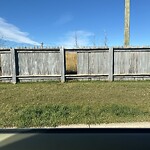 Fence or Structure Concern - City Property at 80 Martinpark Wy NE