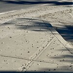 Debris on Street, Sidewalk, Boulevard at 1 Royal Vista Dr NW