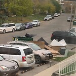 Debris on Street, Sidewalk, Boulevard at 401 Grier Av NE