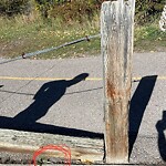 Debris on Street, Sidewalk, Boulevard at 4218 1 A St SW