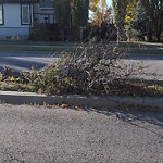 Tree Maintenance - City Owned at 6 Tuscany Meadows Dr NW