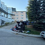 Debris on Street, Sidewalk, Boulevard at 2610 17 St SW Bankview