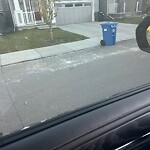 Debris on Street, Sidewalk, Boulevard at 37 Carrington Ci NW