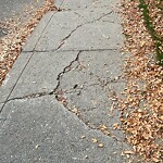 Sidewalk or Curb - Repair at 4215 16a St SW Altadore