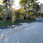 Sidewalk or Curb - Repair at 2201 10 St SW