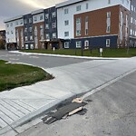 Debris on Street, Sidewalk, Boulevard at 145 Livingston Hl NE