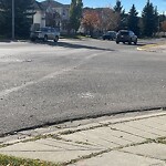 Debris on Street, Sidewalk, Boulevard at 497 Country Hills Dr NW