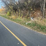 Debris on Street, Sidewalk, Boulevard at 704 Salisbury Av SE