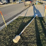 Sign on Street, Lane, Sidewalk - Repair or Replace at 374 Masters Av SE