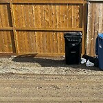 Debris on Backlane at 86 Martinbrook Rd NE