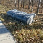 Debris on Street, Sidewalk, Boulevard at 127 Savanna Bv NE