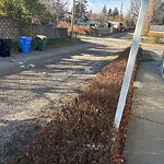 Debris on Backlane at 1128 47 St SW