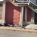 Debris on Street, Sidewalk, Boulevard at 2412 14 Av NW