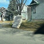 Debris on Street, Sidewalk, Boulevard at 148 Tarington Pa NE