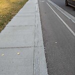 Debris on Street, Sidewalk, Boulevard at 3213 19 Av SE