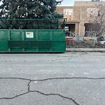 Tree Protection during Construction at 5410 6 St SW