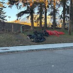 Debris on Street, Sidewalk, Boulevard at 1016 17 St NW