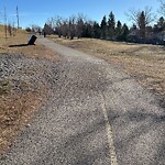 Sidewalk or Curb - Repair at 1821 John Laurie Bv NW