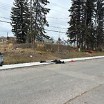 Debris on Street, Sidewalk, Boulevard at 1001 17 St NW