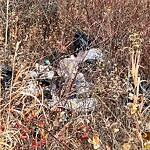 Debris on Street, Sidewalk, Boulevard at 2240 Pumphouse Av SW