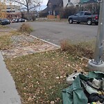 Debris on Street, Sidewalk, Boulevard at 1026 20 Av SE