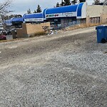 Debris on Backlane at 408 Shawcliffe Ci SW