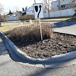 Sidewalk or Curb - Repair at 155 Scurfield Pl NW Scenic Acres