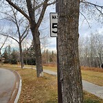 Sign on Street, Lane, Sidewalk - Repair or Replace at 232 Midglen Tc SE